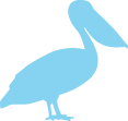 pelican.png